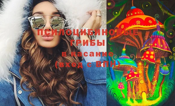 стаф Арсеньев