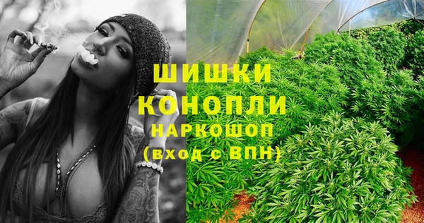эйфоретик Баксан
