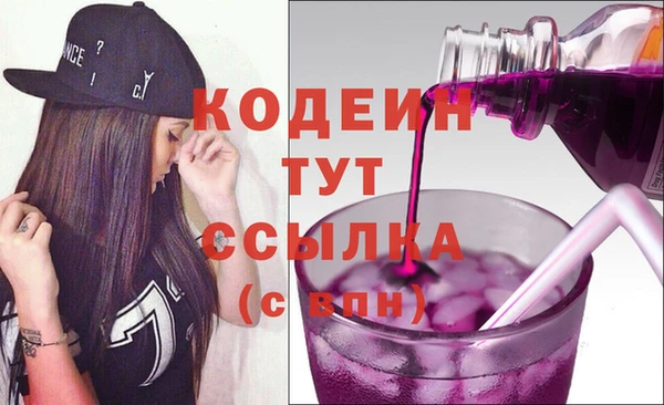 индика Балахна